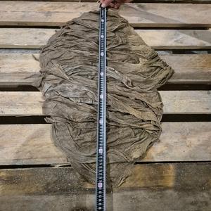 Offre Spéciale : Omasum de Bœuf Salé Séché / Omasum de Bœuf Salé et Séché, Congelé et Frais / Omasum de Viande de Bœuf, Omasum de Haute Qualité - Product Image 6