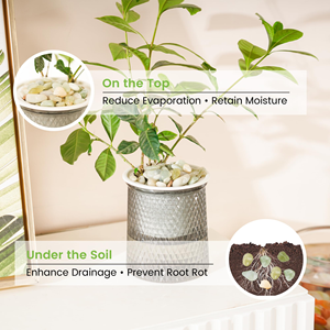Ciottoli di Giada Naturale Lucidati da 0,4 Pollici, Pietre Decorative Ecologiche <span class=keywords><strong>per</strong></span> <span class=keywords><strong>Piante</strong></span> <span class=keywords><strong>Grasse</strong></span>, <span class=keywords><strong>Piante</strong></span> da Interno, Giardini e Paesaggistica Esterna - Product Image 5