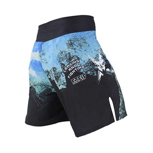 Custom logo jiu jitsu fight shorts mma short <b>grappling</b> shorts High Quality new MMA Shorts Sublimation 4-way Stretch Fight - Product Image 2