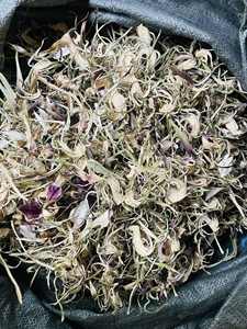 Flores Secas de Alcachofa, Paquete de 100g, de Vietnam, Ingrediente Botánico Natural para Preparar Té de Alcachofa y Exhibición Premium en Tiendas - Product Image 3