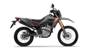 2025 CRF 300 RALLY Adventure Meilleure offre Gamme Haut de Gamme - DISPONIBLE DÉTROUSSANT - Product Image 2