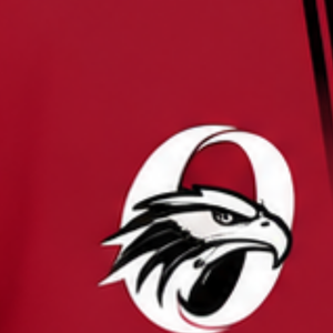 <b>Red</b> Maroon White Rugby <b>Shorts</b> Team Uniform Breathable Lightweight Custom Training Sportswear Athletic Performance <b>Shorts</b> - Product Image 6