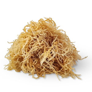 Musgo de mar dorado de alta calidad seco orgánico para batidos desintoxicación cuidado de la piel embalaje a granel fabricante oem - Product Image 3