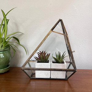 Small Golden Cube With Lid Glass Led Light Grow Terrarium for Plant Wedding Home Decoration Planter Crafts Flower Pots Terrarium - Product Image 3