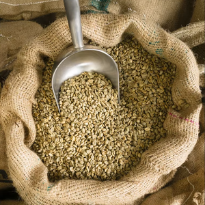 High Grade Specialty Vietnam Organic Arabica Green Coffee <b>Beans</b> Size 16 with Black & Broken 0.1% USDA Certified Bulk Supply - Product Image 1