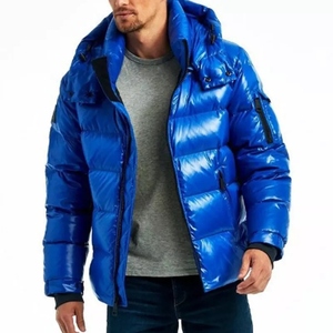 <b>Men's</b> Winter Hooded Puffer <b>Jacket</b> Blue Polyester Waterproof Windproof Streetwear Casual Zipper Closure Regular Fit Solid Color - Product Image 4