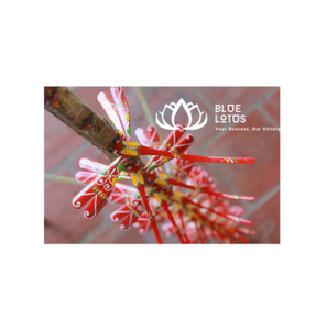 BLOE LOTOS Dylan Vu Model Dragonfly en plastique coloré, jouet d'équilibre, ensemble de jeu d'extérieur pour enfants de 5 à 7 ans, unisexe, thème animaux et nature - Product Image 1