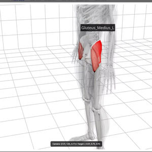 Analizador Corporal Inteligente Bodydot BDF1000 con IA, Marco de Aleación de Aluminio Flexible, No Plegable, Seguimiento de Postura Corporal Completa - Product Image 1