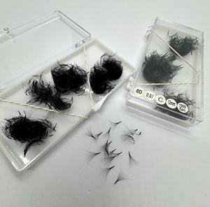 Wholesale CC DD M L YY Curl Premade Fans 8D Pointed Korean Pbt Segment <b>Lashes</b> Diy <b>Cluster</b> <b>Lashes</b> <b>Lash</b> <b>Clusters</b> - Product Image 5