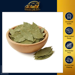 Feuilles de Laurier Entières de Qualité Export pour la Vente en Gros et la Transformation Alimentaire - Product Image 2