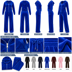 Conjunto Deportivo de Terciopelo Azul para Mujer, con Capucha, Corte Holgado, Informal, de 2 Piezas, Manga Larga, Pantalones Deportivos de Terciopelo - Product Image 4