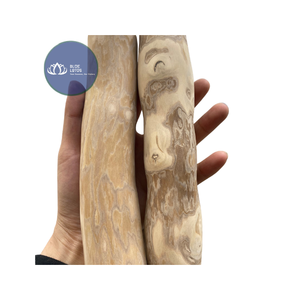 Bâtonnets à mâcher pour chien en bois de café naturel, les plus vendus, écologiques, sans caféine, pour l'exportation - Product Image 1