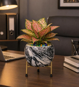 Maceta de Metal Pitalnagi Meenakari Hecha a Mano, Maceta Artística Tradicional India, Contenedor Decorativo para Plantas de Interior - Product Image 1
