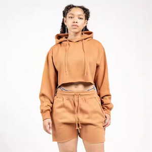 Custom Blank Cotton Polyester Blend Breathable Casual Hooded Sweatshirt and Shorts 2 Piece <b>Set</b> for Women - Product Image 4