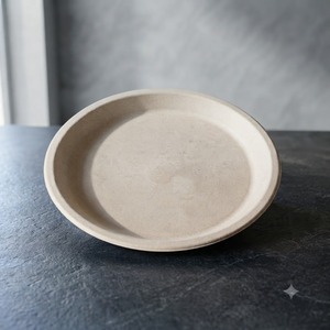 Assiette ronde de 11 pouces en bagasse naturelle, résistante aux fuites, vaisselle jetable compostable fabriquée à partir de fibres de canne à sucre - Product Image 3