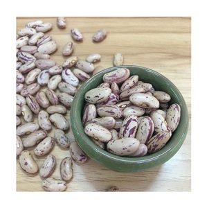 Frijoles Pinto Secos de Alta Calidad / Frijoles Ligeros con Motas Disponibles para la Venta a Bajo Precio - Product Image 1