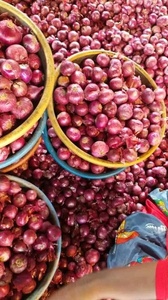 Cebolla Roja Fresca de Alta Calidad, Bulbo Entero, 25 kg, Precio Económico al por Mayor - Product Image 4