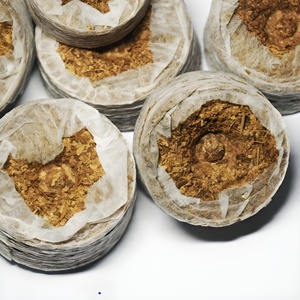 Semoir de semis, dosette de semis, accessoires de démarrage de pépinière, bouchons de menthe coco, systèmes hydroponiques de plantation à vendre - Product Image 3