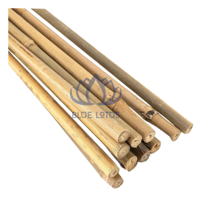 Pôles en bambou Tonkin de qualité supérieure, écologiques, très demandés, pour le soutien des plantes en agriculture durable, en vrac - Product Image 1