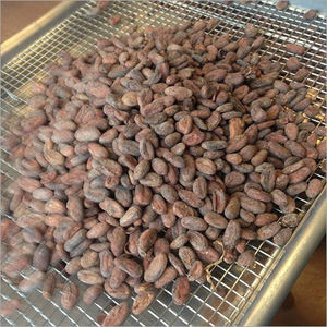 Granos de Cacao Secados al Sol de Alta Calidad, Grado A Orgánico, Granos de Cacao Crudos Fermentados para la Producción de Chocolate y Cacao en Polvo, Económicos - Product Image 5