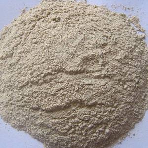 Polvo de Ajo Deshidratado de Vietnam de Grado Alimenticio, el Más Vendido, Proveedor Mayorista para la Industria de Condimentos - Sra. Grace - Product Image 4
