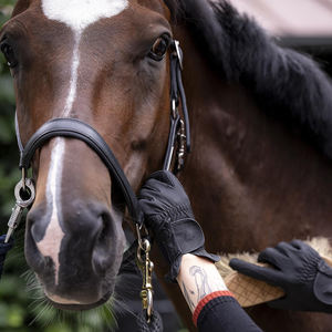 Guantes de Equitación Profesionales Personalizados al por Mayor de Buena Calidad, Súper Agarre, Transpirables, Ligeros y Antideslizantes - Product Image 3