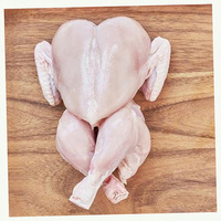 Pollo Entero Congelado Halal, Sin Cafeína, Sin Grasas Trans, Empaque a Granel, Proceso IQF, 25 kg, Alta Calidad, 1 Año de Vida Útil