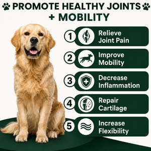 Complément alimentaire multivitaminé à base d'huile de chanvre pour chiens et chats, à croquer, pour toutes les races, supplément vitaminique quotidien, santé immunitaire, peau, pelage, articulations, absorption rapide - Product Image 4