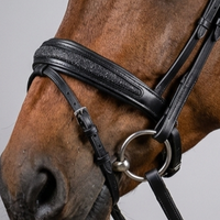 Bridon d'anglaise en cuir anatomique haut de gamme personnalisé, fabricant OEM/ODM, ensemble de bridons de dressage avec incrustations de paillettes, acier inoxydable