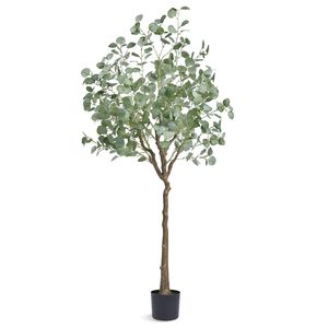 Palma di Eucalipto Artificiale Alta 1,8 m in PE Sicuro con Protezione Anti-Ribaltamento, Bassa Manutenzione, Pianta Finta Realistica - Product Image 1