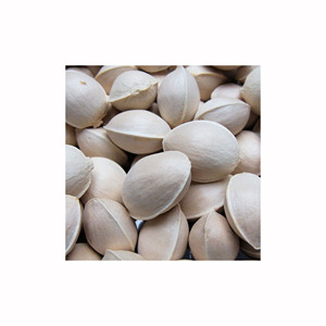 Ginkgo <b>Kernels</b> and Whole <b>Nuts</b> for Cooking Baking and Food Service Bulk Supply with Export Packaging Options - Product Image 1