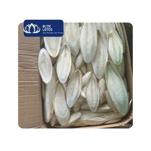 [VENTA EXITOSA] Hueso de Sepia para Peceras y Jaulas de Aves, Alimento Diario 100% Natural con Alto Contenido de Proteínas para Aves y Patos - Product Image 1