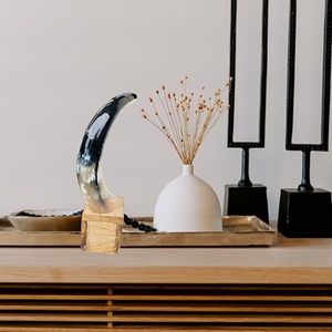 Corne de buffle naturelle artisanale pour décoration intérieure, pièce maîtresse pour salon, salle de séjour, décoration de la maison au meilleur prix - Product Image 2