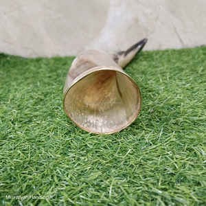 Cuerno para beber de nuevo diseño de alta calidad con logotipo grabado de anillo de latón Cuerno de buey de alta venta natural Cuerno para beber a bajo precio - Product Image 3