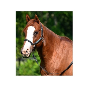 เชือกแขวนคอม้าพีวีซีทำจากหินคุณภาพสูงและตะกั่วแบบพรีเมี่ยมเรียบ - Product Image 3