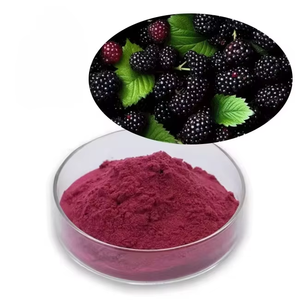 Polvo de Morera Seca Premium para Smoothies y Bebidas, Polvo de Fruta de Morera Natural para Jugos, Té, Postres y Alimentos Funcionales - Product Image 1