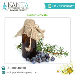 Aceite Esencial de Bayas de Enebro de Buena Calidad a Precio de Mayoreo para Aromaterapia al Mejor Precio de un Proveedor Indio - Product Image 2