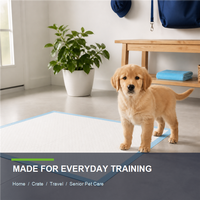 Vente en gros OEM de tapis d'apprentissage de la propreté jetables pour chiots, super absorbants, 6 couches, anti-fuite, taille et logo personnalisables