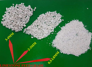 Carbonato de calcio de alta pureza, piedra caliza, alimento granular, Grado 1-3 MM, agricultura, Exportación de Vietnam - Product Image 2