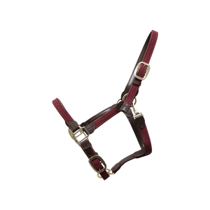 Premium Wholesale Popular Luxurious Elegant Perfect Adjustable Fashionable Padded Leather Horse <b>Halter</b> - Product Image 1