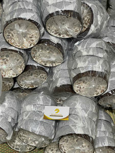 Bol en coque de noix de coco avec incrustation de nacre, bol en coque de noix de coco écologique pour servir les aliments, décoration de table, utilisation de mariage, Vietnam - Product Image 3