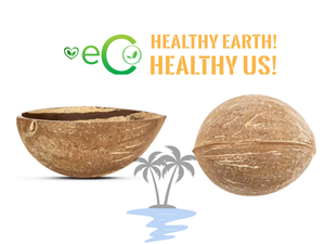 ชามเปลือกมะพร้าวย่อยสลายได้ Eco2go เวียดนาม - ชามเปลือกมะพร้าวทำมือคุณภาพพรีเมียม - Product Image 3