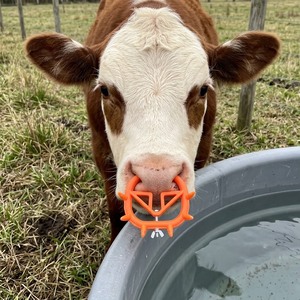 Dispositivo de Destete para Ganado, Dispositivo para Evitar que los Terneros se Sientan la Leche, Protector Nasal de Plástico para Vacas, Dispositivo para Evitar que las Vacas se Sientan la Leche - Product Image 3