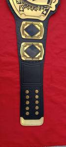 Ceinture de championnat personnalisée en alliage de zinc multicolore avec texte personnalisé, taille haute, unisexe, pour arts martiaux et entraînement sportif - Product Image 4