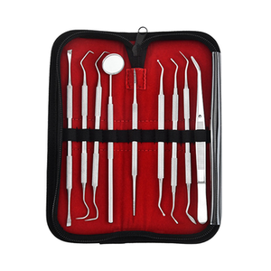 Juego de Instrumentos Profesionales de Higiene Bucal de Acero Inoxidable, Estuche con Herramientas para Limpieza Dental, Encías, Dientes, Eliminación de Sarro, Cálculos y Placa - Product Image 6