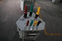 Transformateur Wanbo-65 ANSI/IEC 50kVA 100kVA 200kVA 300kVA 500kVA Triphasé Immergé dans l'huile à Bobinage Multiple 50/60Hz pour Sous-station