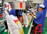 Sacs tissés en PP laminés recyclables, résistants à l'humidité et traités anti-UV, 100 % polypropylène vierge, 25 kg et 50 kg, pour le riz, fabriqués au Vietnam