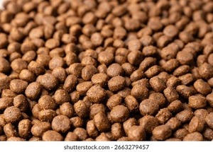 Alimento Natural para Perros y Gatos, Nutrición Completa, Alta en Proteínas, Fórmula Saludable, OEM, ODM, Marca Privada, Suministro al por Mayor - Product Image 4