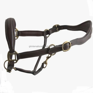 Halter de cheval en cuir anatomique réglable fait à la main robuste avec coutures fantaisie et rembourrage doux matériel en laiton massif - Product Image 1