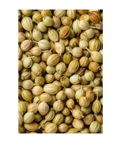 Graines de coriandre culinaire de qualité supérieure, utilisées pour la cuisine de spécialité et l'assaisonnement gastronomique, au meilleur prix auprès du fournisseur de graines de coriandre. - Product Image 2